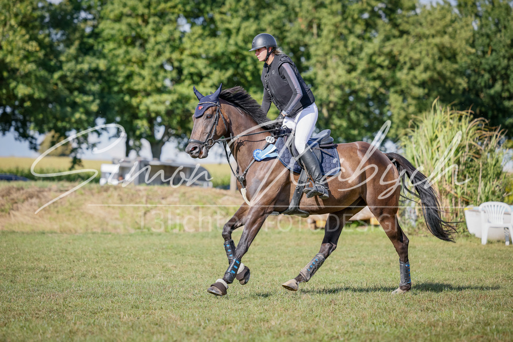 20250905-_3LI1508 | Tierfotografie Pferde, Hunde, Katzen, Haustiere.
Turnierfotografie Reitturniere, Reiten, Springreiten, Dressur in Hanau, dem Main-Kinzig-Kreis und dem Rhein-Main- Gebiet um Frankfurt