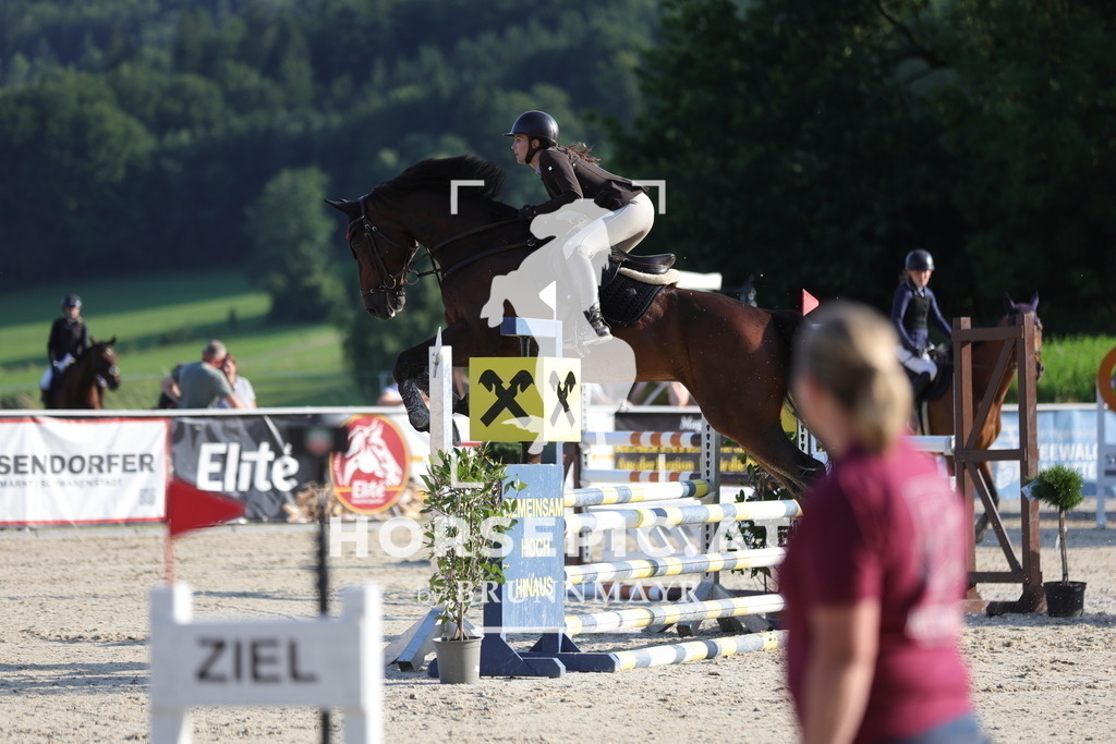 0P6A6628 | Willkommen bei Brunnmayr - Design & Fotografie – Ihrem Spezialisten für Reitturniere und Pferdeveranstaltungen in Oberösterreich, Salzburg und Bayern! Seit über 17 Jahren sind wir leidenschaftlich dabei.