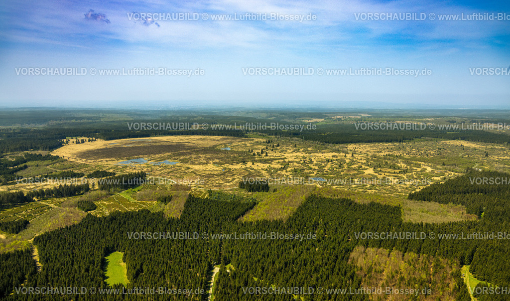 Monschau240502322HohesVenn | Luftbild, Hohes Venn Naturpark Eifel, Hochfläche bei Mützenich Landschaftsschutzgebiet, Vennhochfläche Wiesen und Felder Moorheidekomplex, Grenzgebiet Deutschland-Belgien, Mützenich, Monschau, Nordrhein-Westfalen, Deutschland