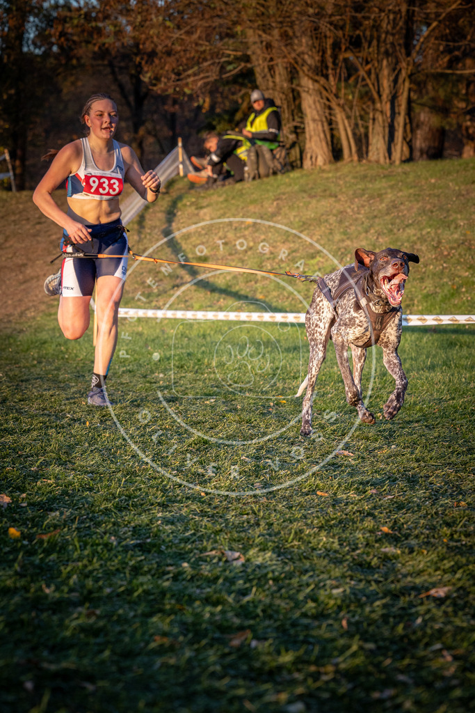 CaniXpix_0L8A1770 | Hundefotografie, Tierfotograf, Pfotenfotografie, Fotoshooting Hund, Hunde Portrait, Hundesport, Hundeportraits, Heideshooting, Hunde, Sportfotograf, Hundefotograf, Turnierhundsport, THS,  - Realisiert mit Pictrs.com