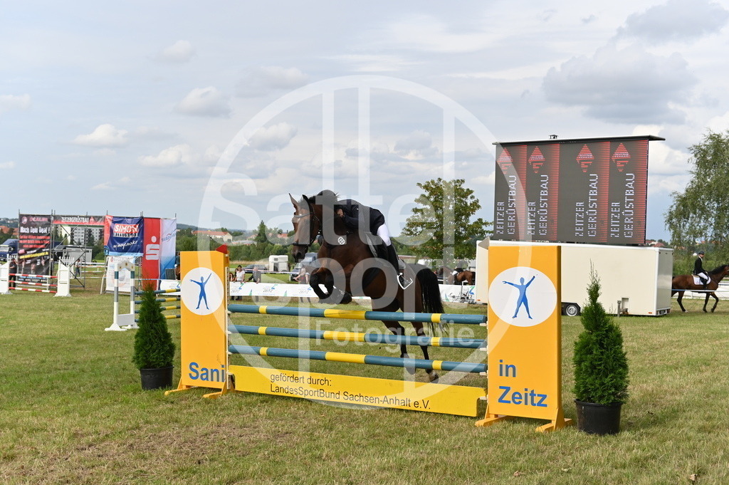 DSC_3691 | sattelsport - Realisiert mit Pictrs.com