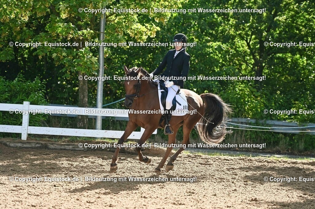 20230716_04_Dressurreiterprüfung Kl.A_0182 | equistock