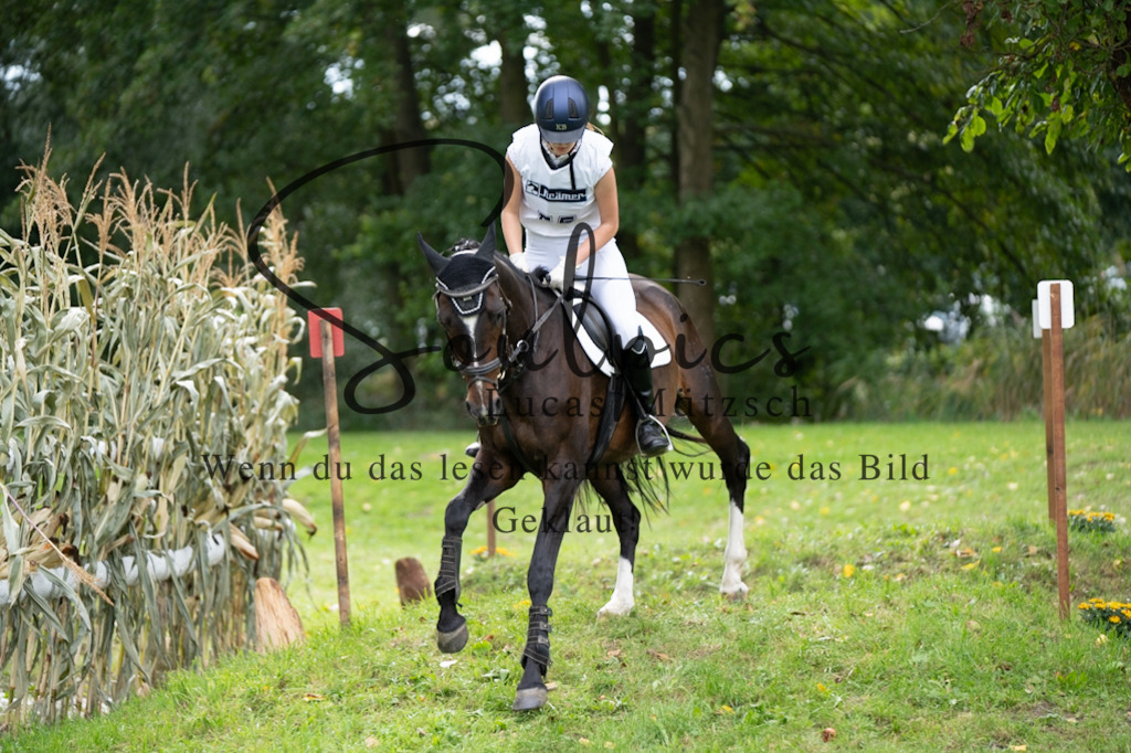 A7V03568 | Pferdefotograf