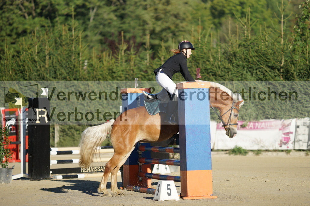 DSC08066 | equestrian-live-com