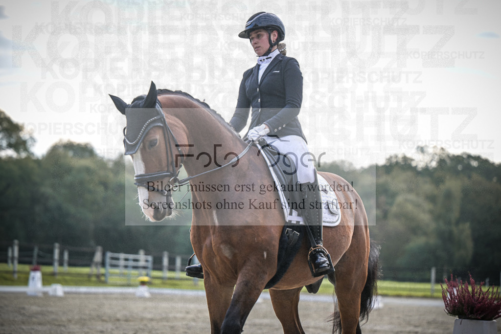 DOS_4152 | Entdecke hochwertige Reitturnierfotos von Foto Oger. Professionell, emotional und authentisch – jetzt Lieblingsmomente im Shop bestellen.Deutschlandweite Turnierfotografie. - Realisiert mit Pictrs.com