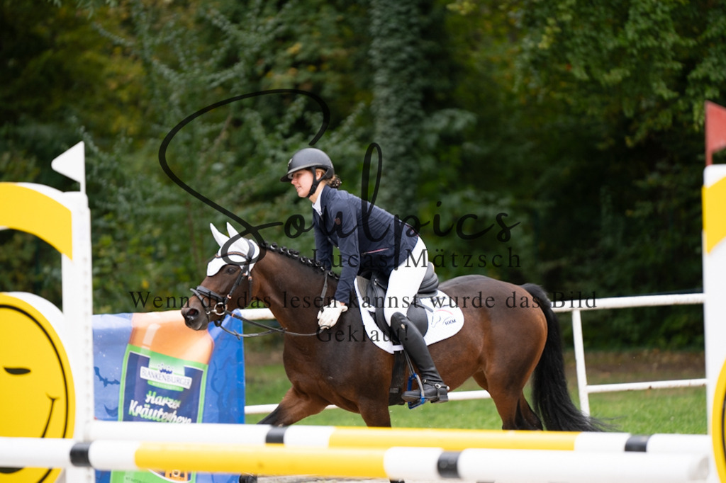 A7V08076 | Pferdefotograf