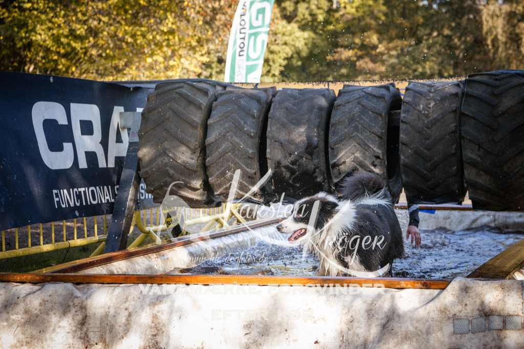 1046_ZZ92830 | kk-dogfotos