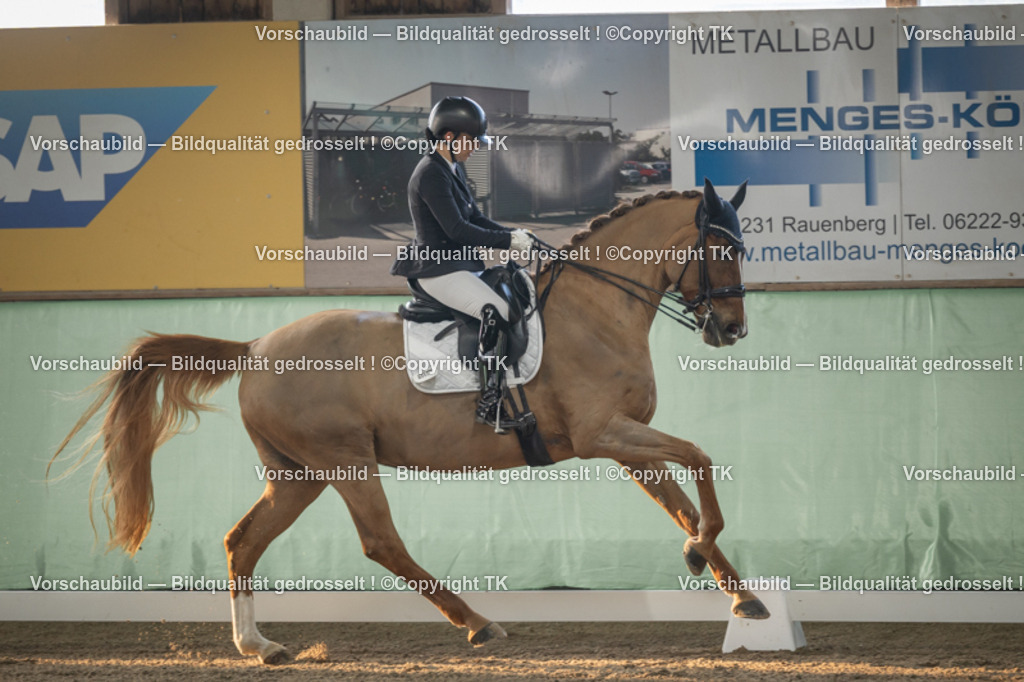 _D5A3992 | Emotionale Pferde- & People-Fotografie rund um Heidelberg, Leimen & Umgebung. Natürliche Fotos von Pferd, Mensch & Familie. Jetzt Termin sichern!