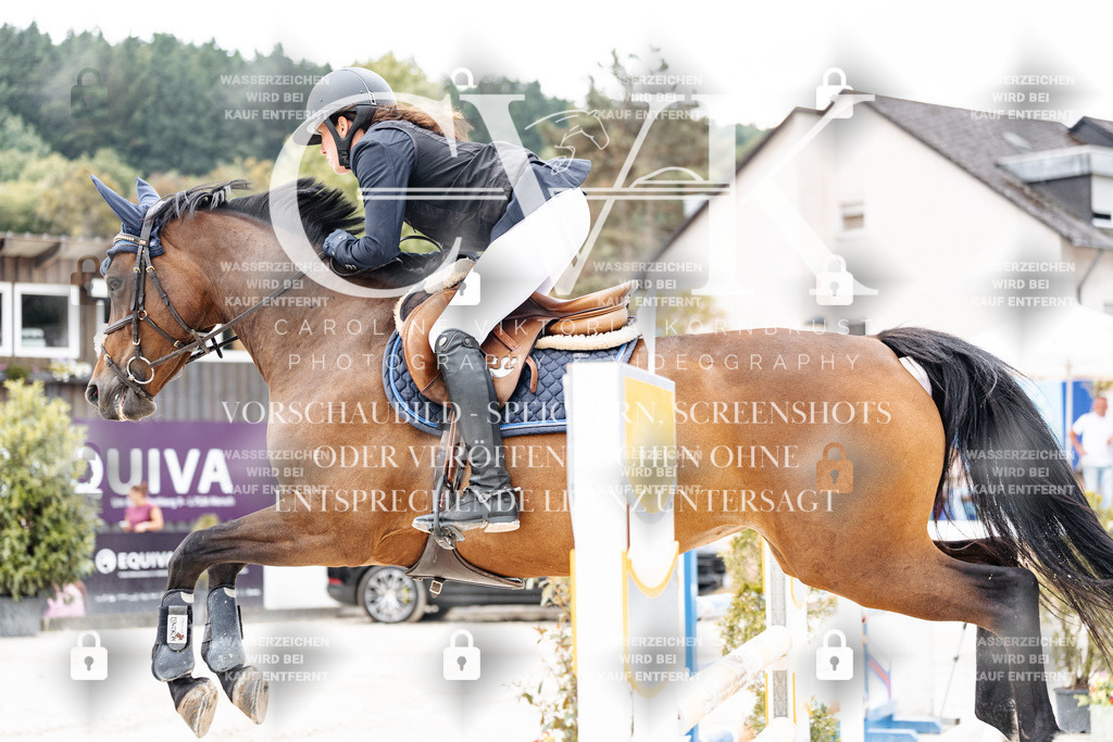 CK906237 | Turnierfotografie Pferdefotografie Trier Rheinland-Pfalz Pferdesport Reitsport Tierfotografie Sportfotografie Pferdevideo Pferdevideografie Equestrianvideography equestrianphotography  - Realisiert mit Pictrs.com