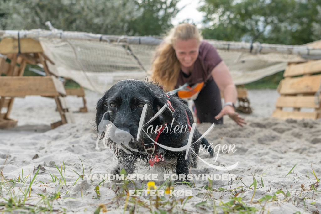 1142_ZZ98711 | kk-dogfotos