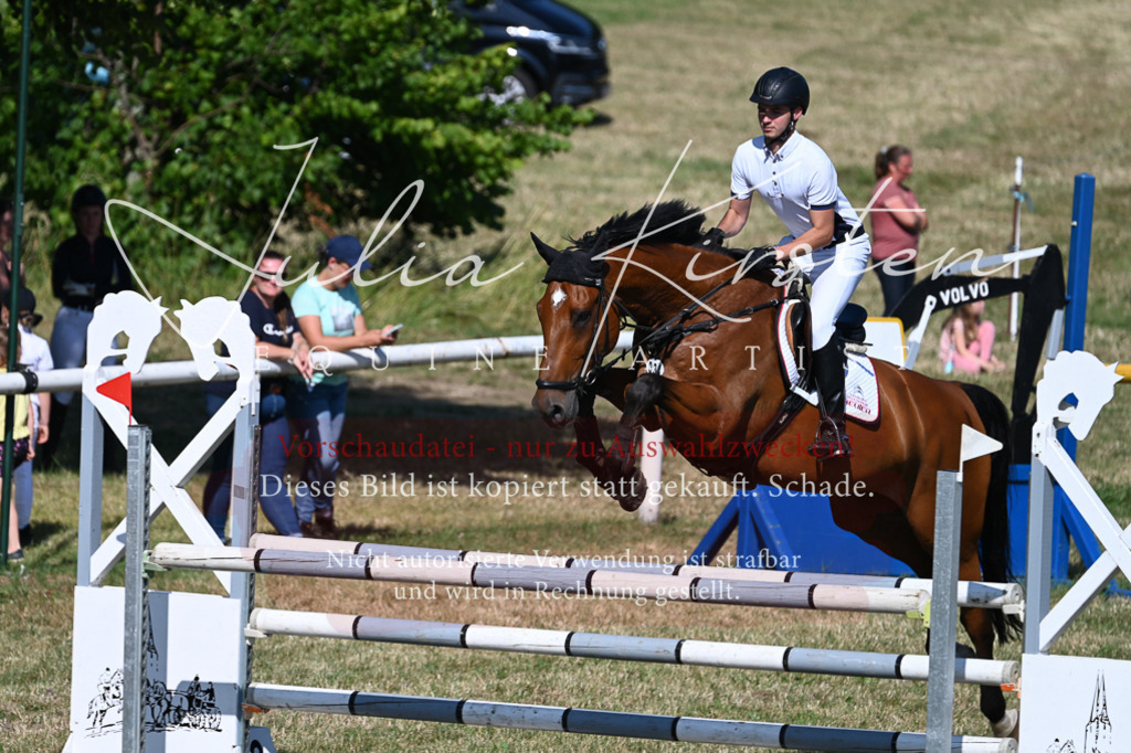 DSC_1930 | Pferde- und Turnierfotografie in Westsachsen. Pferdeportraits, Auftragszeichnungen und intuitive Kunst.