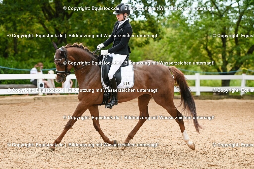 20230715_07_Dressurpferdeprfg. Kl.L_0058 | equistock