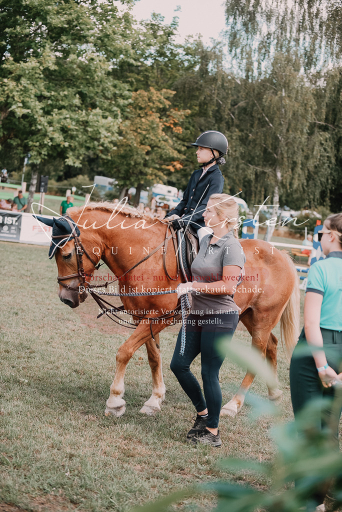 DSC_6055 | Pferde- und Turnierfotografie in Westsachsen. Pferdeportraits, Auftragszeichnungen und intuitive Kunst.