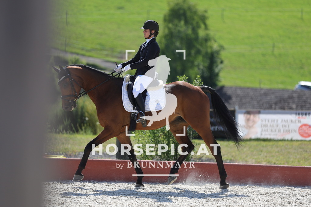 0P6A7848 | Willkommen bei Brunnmayr - Design & Fotografie – Ihrem Spezialisten für Reitturniere und Pferdeveranstaltungen in Oberösterreich, Salzburg und Bayern! Seit über 17 Jahren sind wir leidenschaftlich dabei.