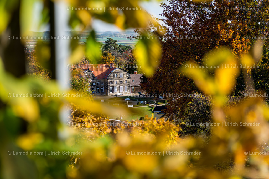 100494-3943 - Barockgarten Blankenburg | max. Bildgröße A2 | 300dpi - Realisiert mit Pictrs.com