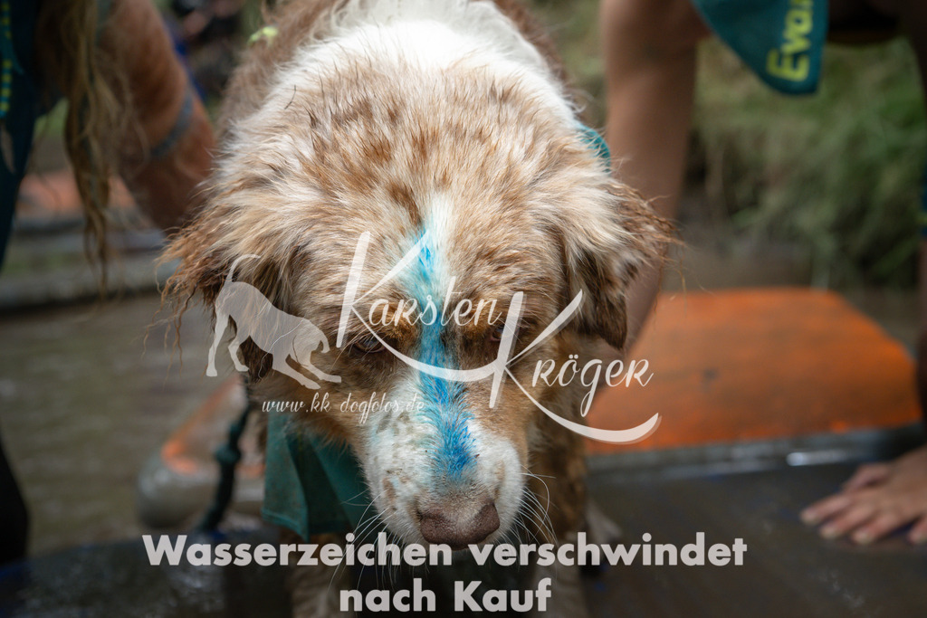 1233_ZZ99885 | kk-dogfotos