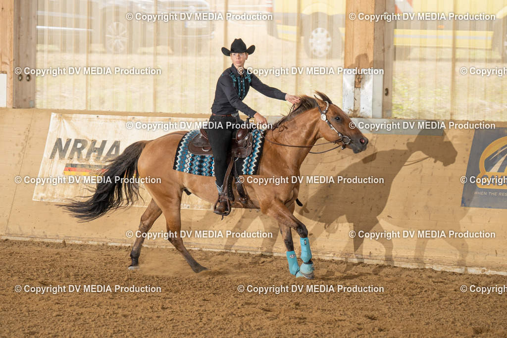 LAU01682 | dv-media-shop - Realisiert mit Pictrs.com