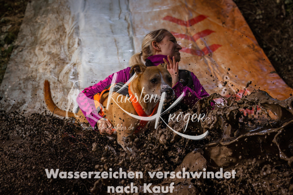 1356_ZZ93382 | kk-dogfotos