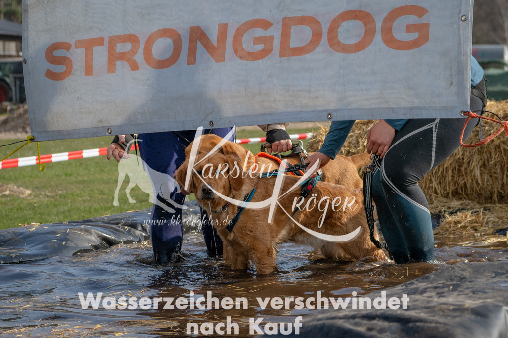 _ZZ91492 | kk-dogfotos
