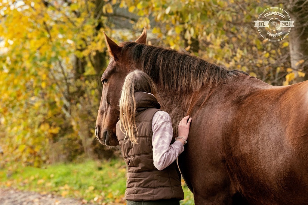 Lieblingsbilder_Photoboo_70 | Pferde- und Hundefotografie in Köln und Umgebung von Vanessza Csuka - Realisiert mit Pictrs.com
