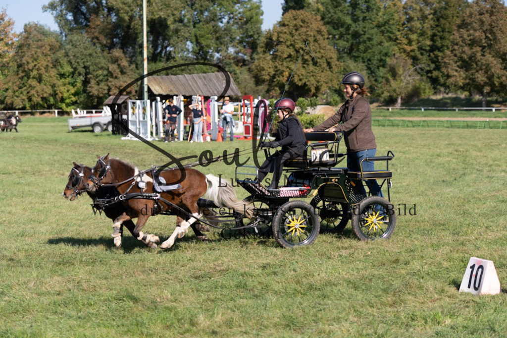 A7V04436 | Pferdefotograf