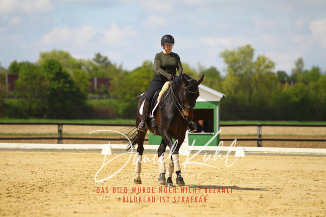 DKP43098 | Turniersportfotografie; Pferdefotografie; Dressurfotografie