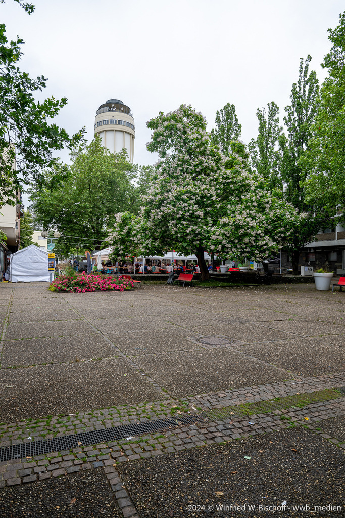 453_DSC_6910 | <Fotografie> <Video> <Film> <Winfried Bischoff> - Realisiert mit Pictrs.com