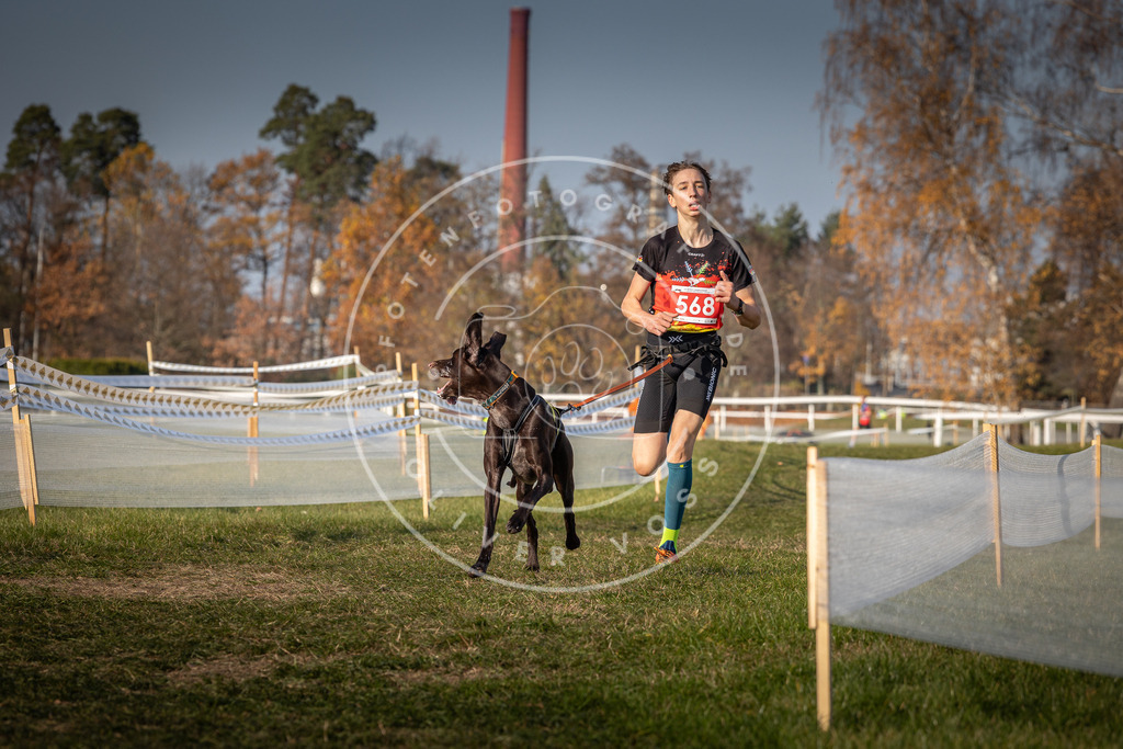 CaniXpix_0L8A9446 | Hundefotografie, Tierfotograf, Pfotenfotografie, Fotoshooting Hund, Hunde Portrait, Hundesport, Hundeportraits, Heideshooting, Hunde, Sportfotograf, Hundefotograf, Turnierhundsport, THS,  - Realisiert mit Pictrs.com