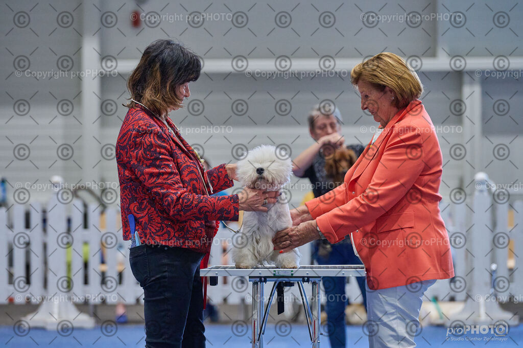 202406_ÖKV-IHA-Tulln24_DSC_5330 | proPHOTO - Realisiert mit Pictrs.com