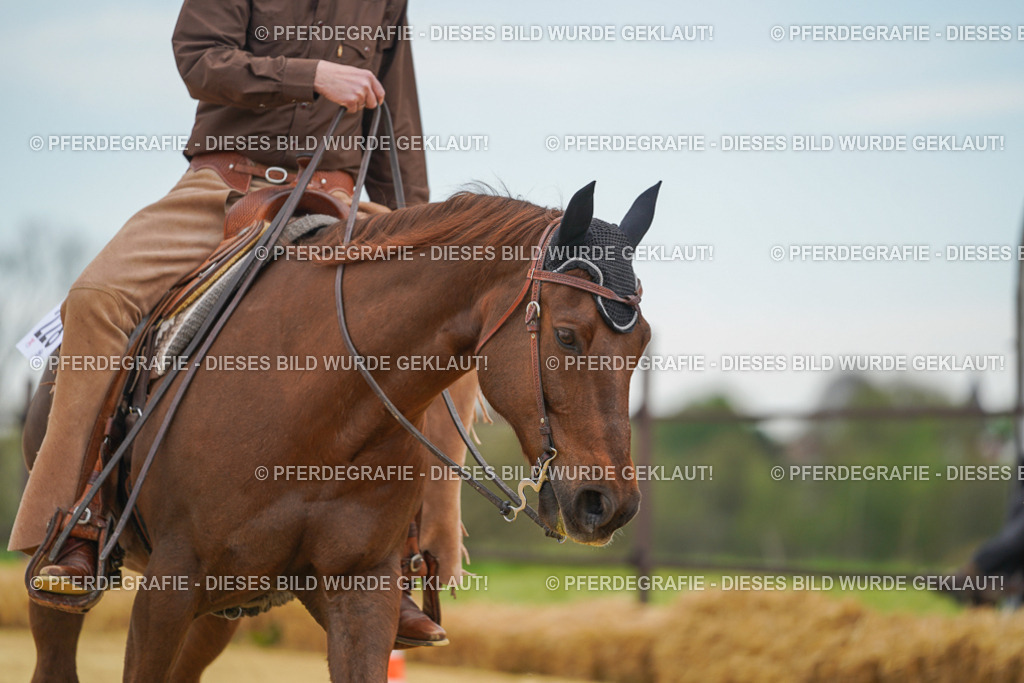 DSC02870 | Pferdegrafie