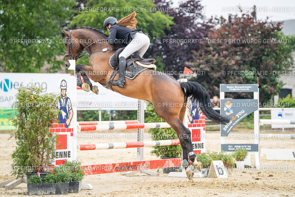 DSC00396 | Pferdegrafie