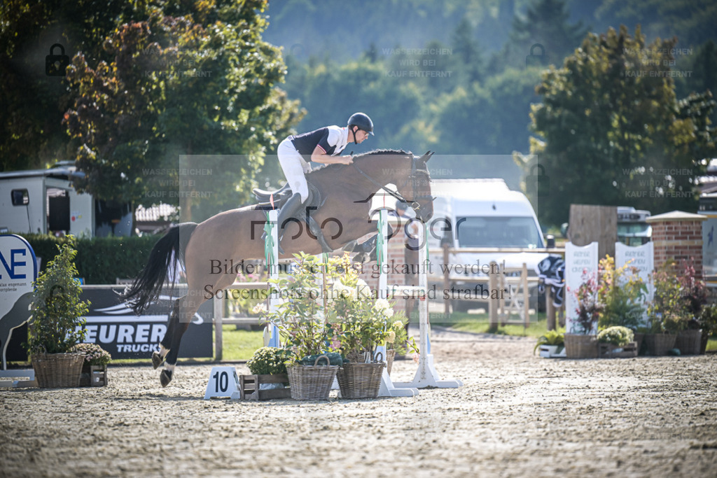 DOS_9393 | Entdecke hochwertige Reitturnierfotos von Foto Oger. Professionell, emotional und authentisch – jetzt Lieblingsmomente im Shop bestellen. - Realisiert mit Pictrs.com