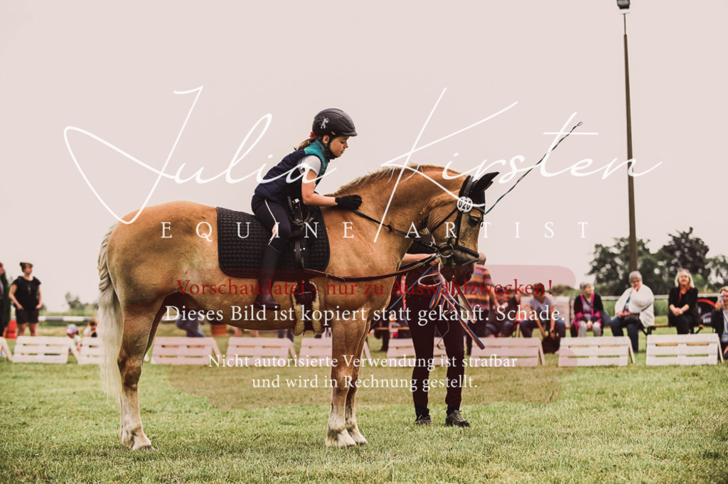 DSC_5344 | Pferde- und Turnierfotografie in Westsachsen. Pferdeportraits, Auftragszeichnungen und intuitive Kunst.
