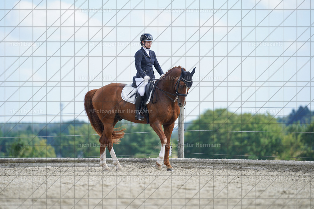 20230826-FAH06091 | Forstinning, 2023, Dressurturnier, Turniersportbilder, Turnierfotografen Bayern, Fotoagentur Herrmann, Reitsportfotografie, Turnierbilder