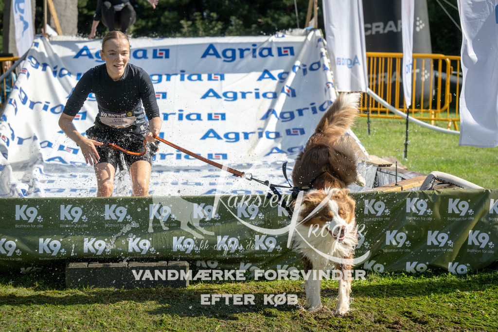 1024_ZZ98801 | kk-dogfotos