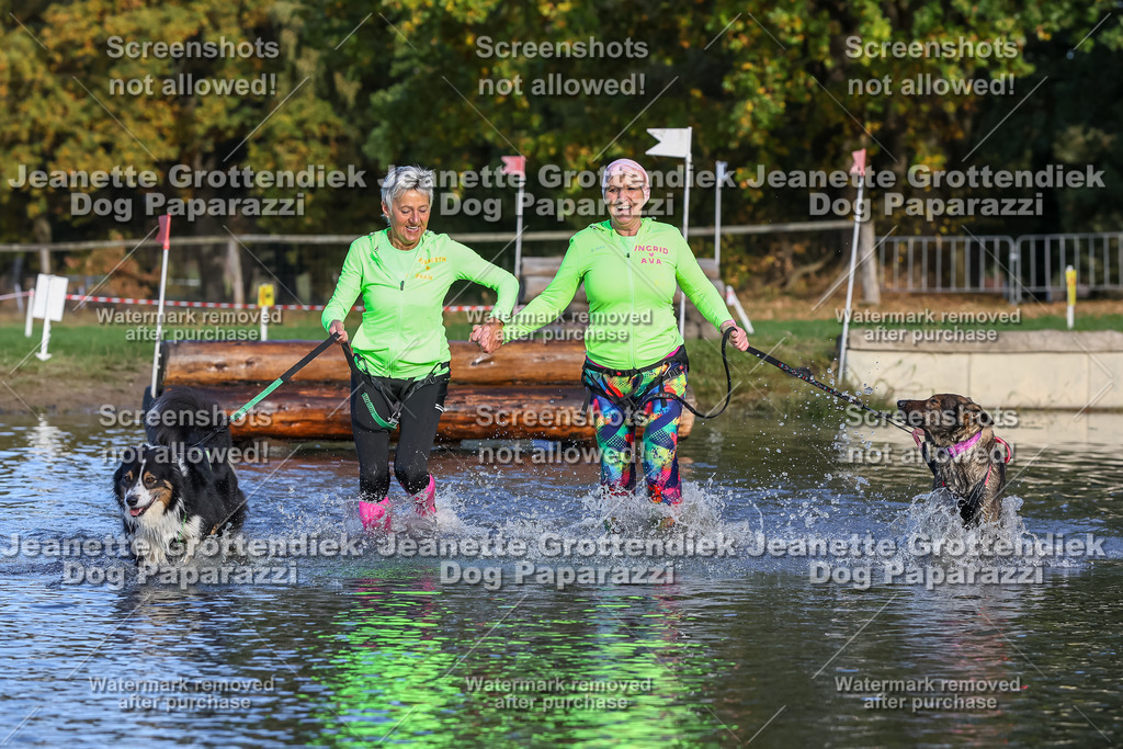 Dog Paparazzi - Strongdog 10-25-8509 | Dog Paparazzi Jeanette Grottendiek Fotografie & Videografie - Realisiert mit Pictrs.com