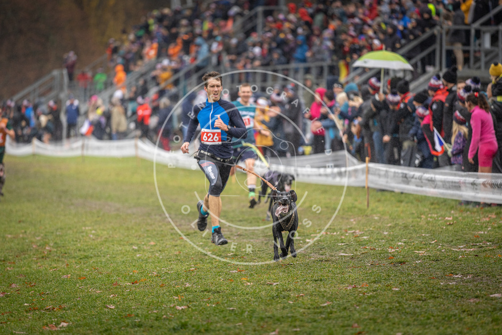 CaniXpix_DV3A9688 | Hundefotografie, Tierfotograf, Pfotenfotografie, Fotoshooting Hund, Hunde Portrait, Hundesport, Hundeportraits, Heideshooting, Hunde, Sportfotograf, Hundefotograf, Turnierhundsport, THS,  - Realisiert mit Pictrs.com