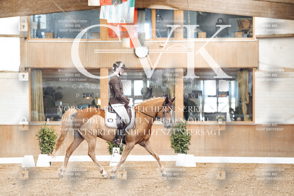 CK900821 | Turnierfotografie Pferdefotografie Trier Rheinland-Pfalz Pferdesport Reitsport Tierfotografie Sportfotografie Pferdevideo Pferdevideografie Equestrianvideography equestrianphotography  - Realisiert mit Pictrs.com