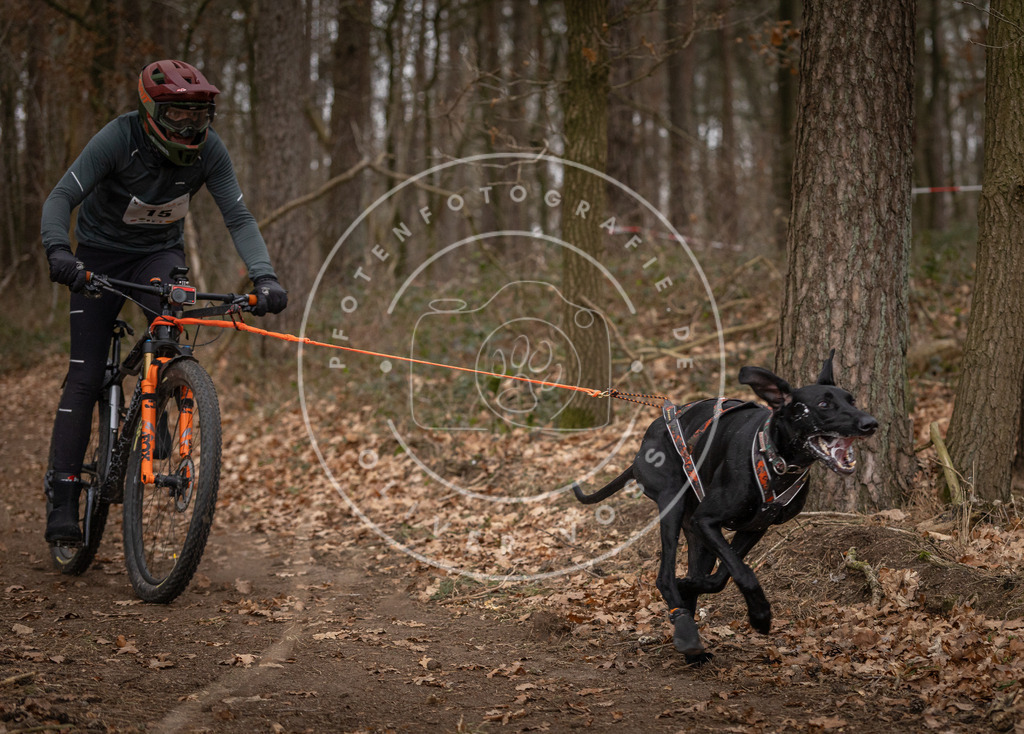 Pfotenfotografie_DV3A7073 | Hundefotografie, Tierfotograf, Pfotenfotografie, Fotoshooting Hund, Hunde Portrait, Hundesport, Hundeportraits, Heideshooting, Hunde, Sportfotograf, Hundefotograf, Turnierhundsport, THS,  - Realisiert mit Pictrs.com