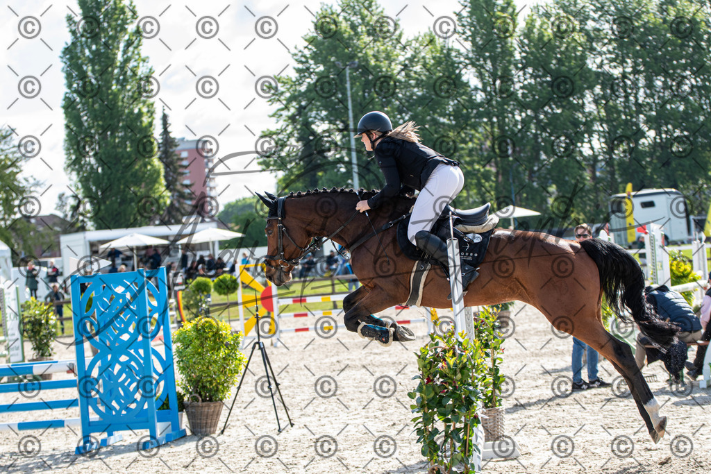 KPT_4597 | andre_photographic