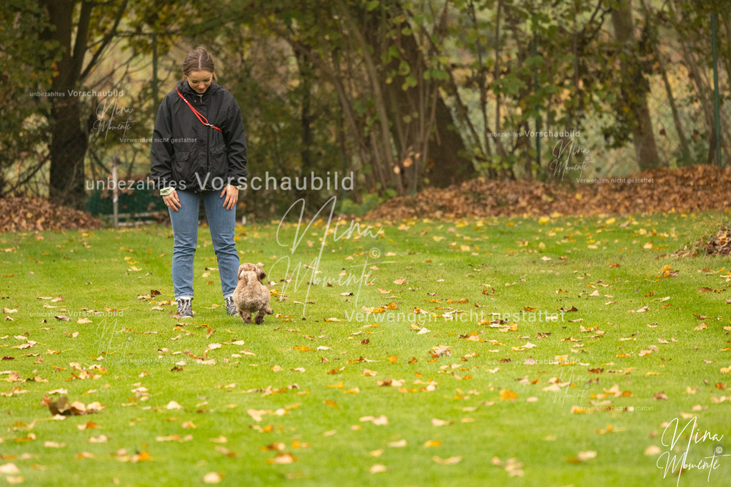 _16A0571 | Einzigartige Fotos von Hunden & Menschen –Actionfotos, Portraits, Vereinsaufnahmen & Paarshootings – authentisch, lebendig & mit Herz.