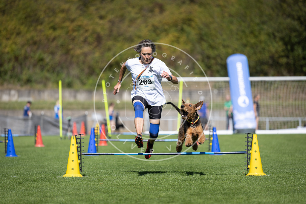 Pfotenfotografie_DV3A6577 | Hundefotografie, Tierfotograf, Pfotenfotografie, Fotoshooting Hund, Hunde Portrait, Hundesport, Hundeportraits, Heideshooting, Hunde, Sportfotograf, Hundefotograf, Turnierhundsport, THS,  - Realisiert mit Pictrs.com