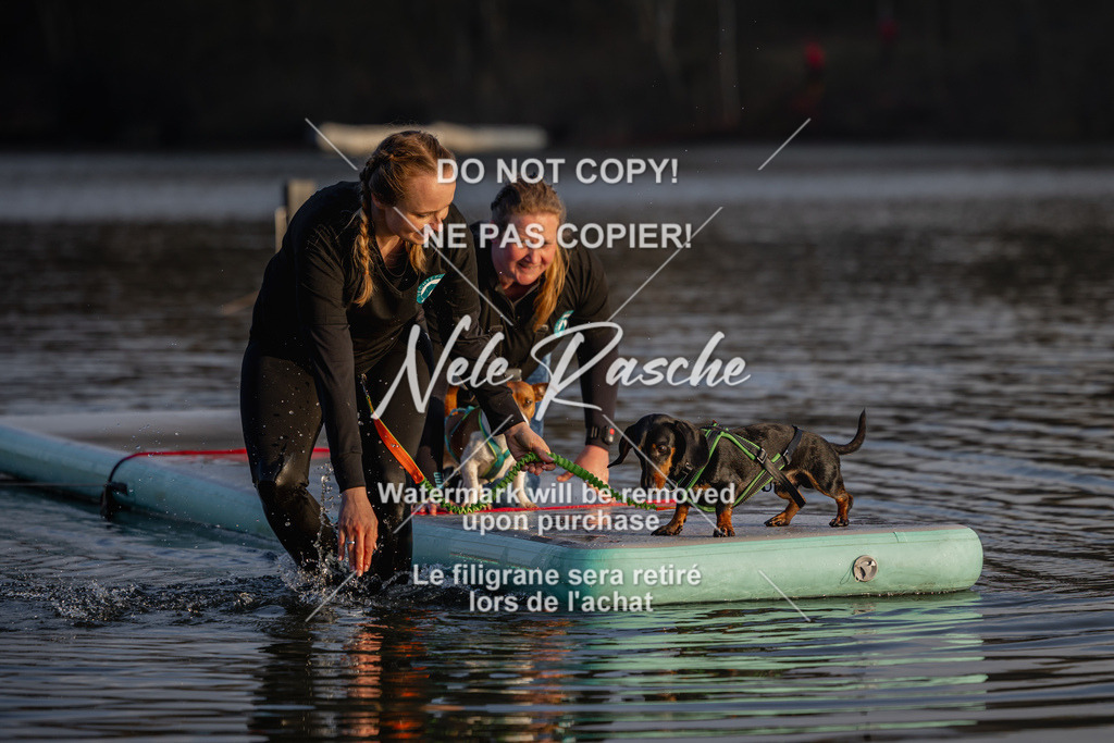 nelerasche_Hulsbeek_Sa1730-Ende_11 | nelerasche