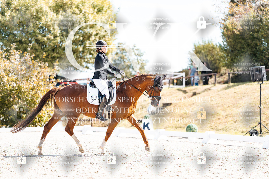 CK909580 | Turnierfotografie Pferdefotografie Trier Rheinland-Pfalz Pferdesport Reitsport Tierfotografie Sportfotografie Pferdevideo Pferdevideografie Equestrianvideography equestrianphotography  - Realisiert mit Pictrs.com