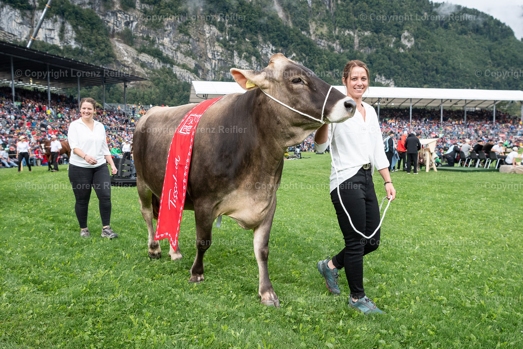 Schwingen -  ESAF 2025 Samstag | Mollis, 30.8.25, Schwingen - ESAF Samstag.