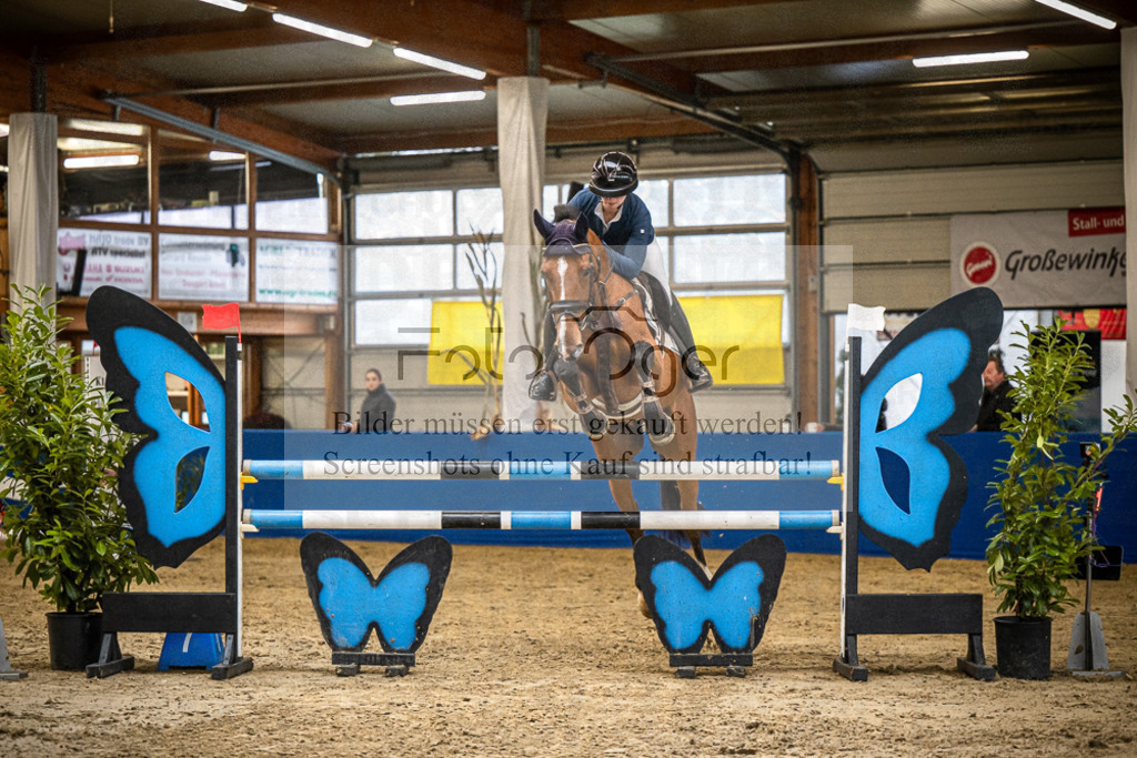 DOS_B1231 | Entdecke hochwertige Reitturnierfotos von Foto Oger. Professionell, emotional und authentisch – jetzt Lieblingsmomente im Shop bestellen.Deutschlandweite Turnierfotografie. - Realisiert mit Pictrs.com