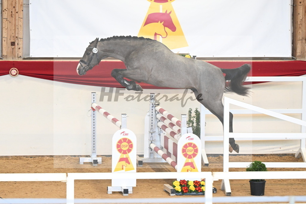Kat.-Nr. 8 v. Clarimo_Schönweiler_3261486 | hf-fotografie - Realizzato con Pictrs.com