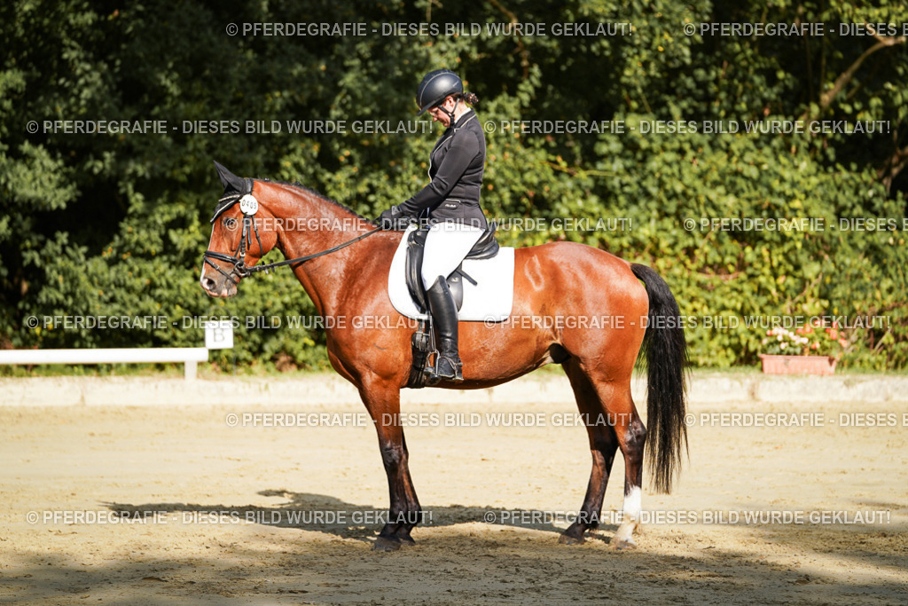 DSC08256 | Pferdegrafie