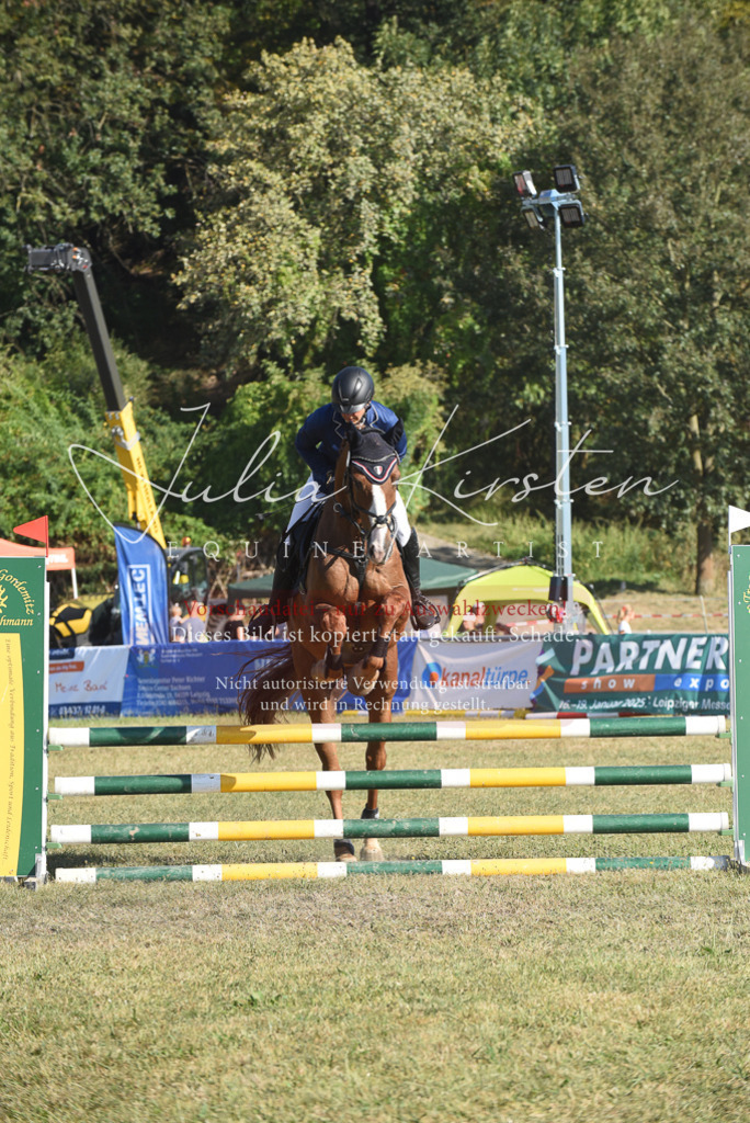 DSC_5327 | Pferde- und Turnierfotografie in Westsachsen. Pferdeportraits, Auftragszeichnungen und intuitive Kunst.
