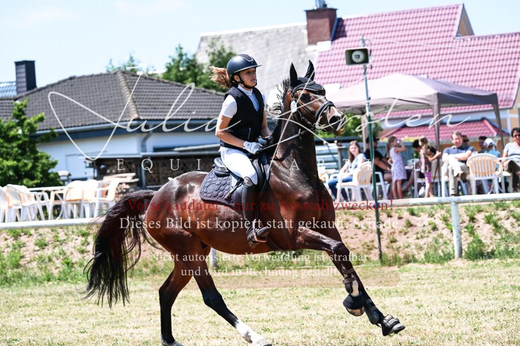 DSC_9990 | Pferde- und Turnierfotografie in Westsachsen. Pferdeportraits, Auftragszeichnungen und intuitive Kunst.